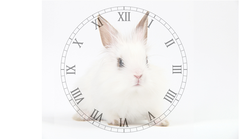 什么是白兔，为什么它对高精度时间服务很重要？